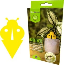 Biofixer - 10 Vangkaartjes - Rouwvliegjes Bestrijden - Varenrouwmug Bestrijden - Vangplaatjes Tegen Rouwvliegjes - Plakstrips - Vangplaten