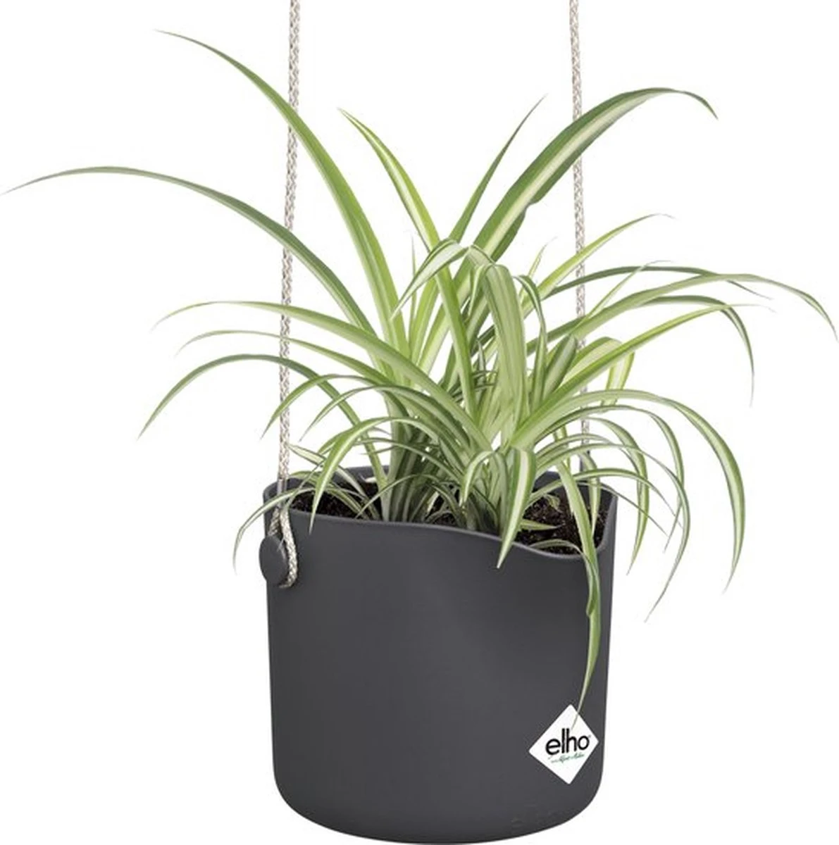 Elho B.for Swing 18 Hangpot - Bloempot Voor Binnen - Ø 18.0 X H 16.5 Cm - Zwart/Antraciet - Afbeelding 11
