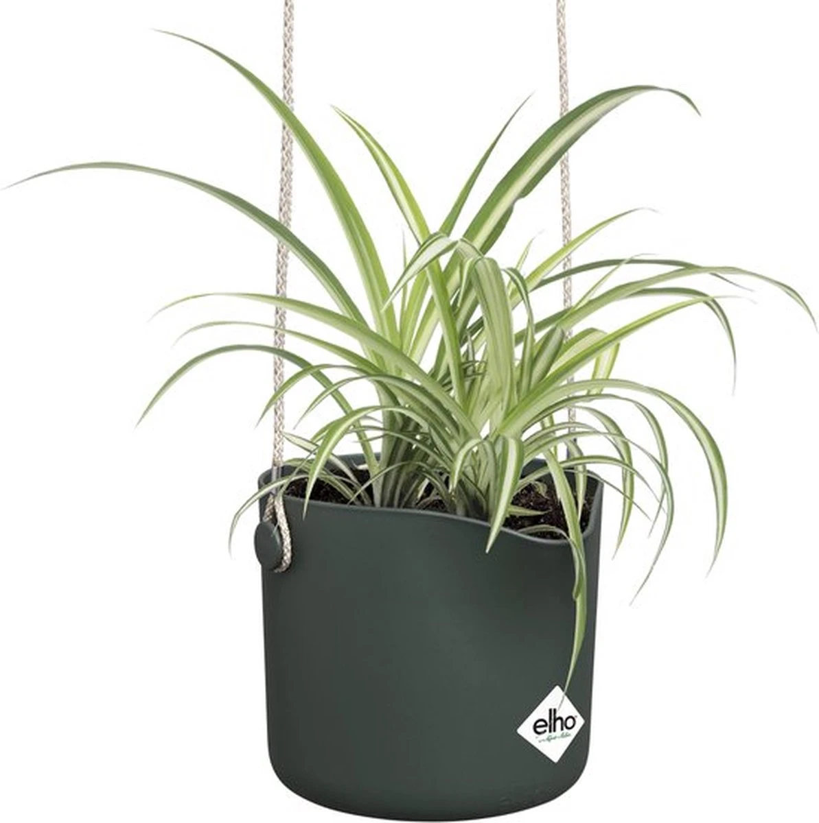 Elho B.for Swing 18 Hangpot - Bloempot Voor Binnen - Ø 18.0 X H 16.5 Cm - Groen/Blad Groen - Afbeelding 5