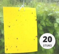 Gele Lijmvallen 20 Stuks Vangplaten, Vangkaarten Tegen Insecten Zoals Rouwvliegjes, Trips, Witte Vlieg, Bladluis En Mineervliegen Geschikt Voor Binnen, Buiten, Kweektent Of Kas