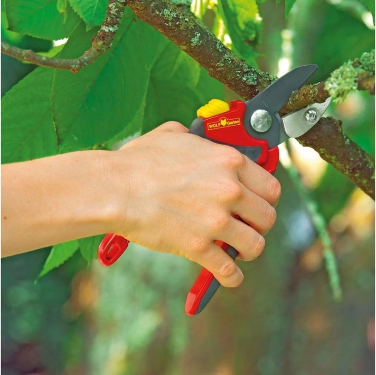 WOLF-Garten Snoeischaar "Premium Plus" RS 4000 - Aambeeld - Max. Knipdiameter 25 Mm - Links- En Rechtshandige - Softinleg Handgreep - Snijhoek 30° - Voor Grote Handen - Vervangbare Messen En Aambeeld - Afbeelding 6