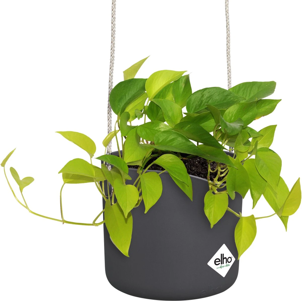 Elho B.for Swing 18 Hangpot - Bloempot Voor Binnen - Ø 18.0 X H 16.5 Cm - Zwart/Antraciet - Afbeelding 3