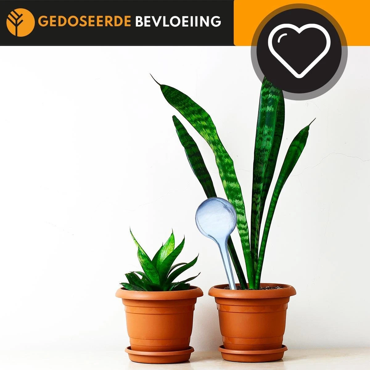 Waterdruppelaar Blauw Set Van 6 Stuks Voor Planten – 27 CM – Automatisch Watergeefsysteem Voor Kamerplanten – Planten Watergever Met Druppelsysteem – Waterbol - Afbeelding 4