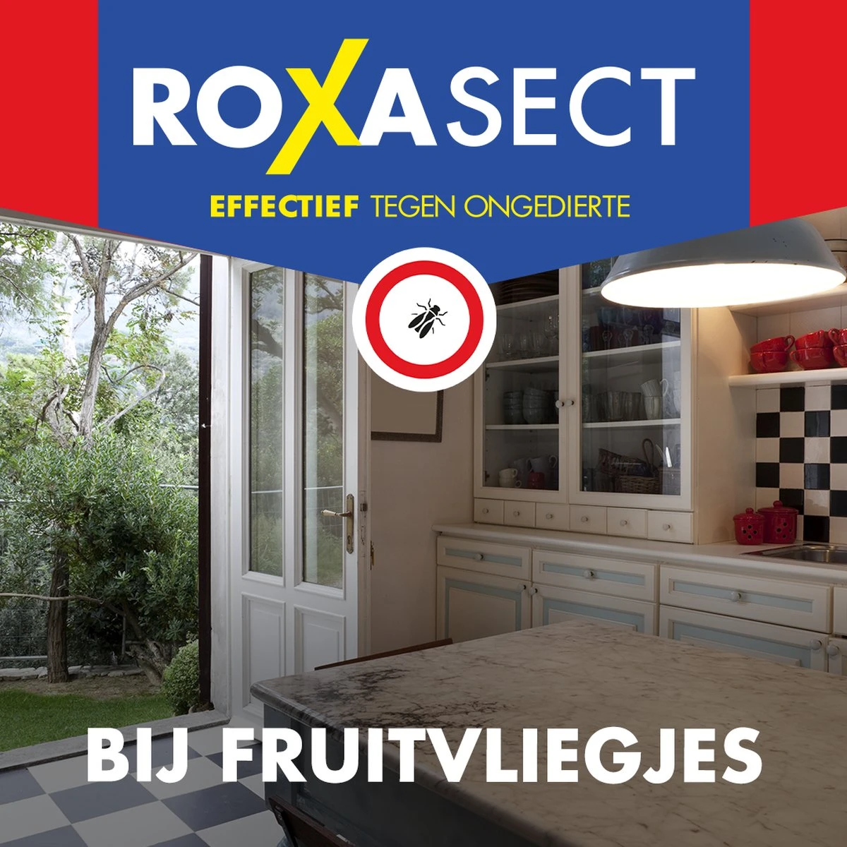 Roxasect Fruitvliegjes Ongedierteval - Anti-fruitvliegjes Insectenval - Fruitvliegjes Vanger - 2 Stuks - Afbeelding 5
