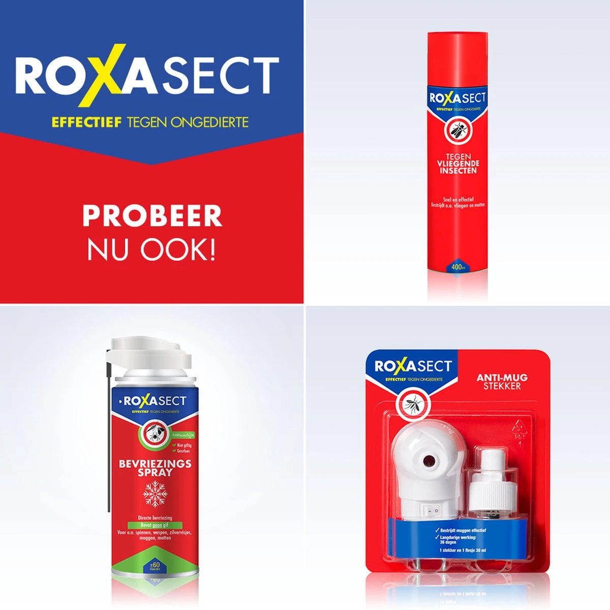 Roxasect Fruitvliegjes Ongedierteval - Anti-fruitvliegjes Insectenval - 1 Stuks - Afbeelding 4