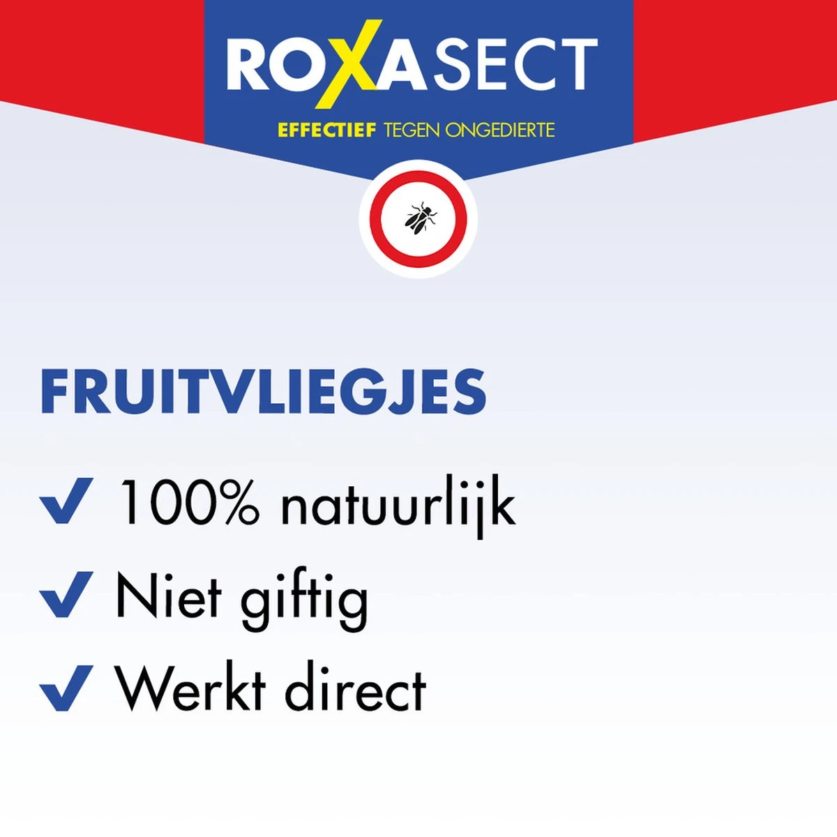 Roxasect Fruitvliegjes Ongedierteval - Anti-fruitvliegjes Insectenval - 1 Stuks - Afbeelding 5