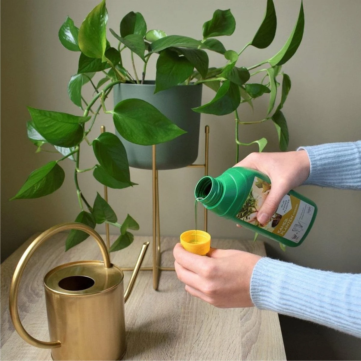 Pokon Kamerplanten Voeding - 500ml - Plantenvoeding - 20ml Per 1L Water - Afbeelding 6