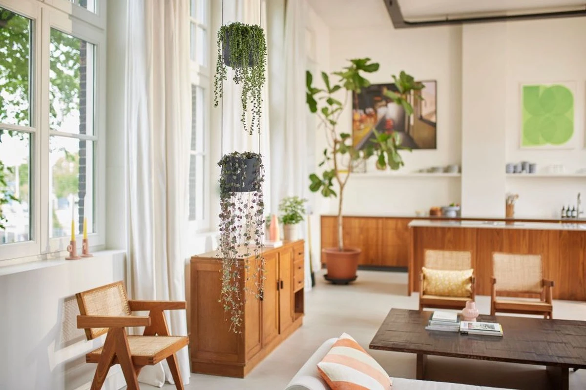 Elho B.for Swing 18 Hangpot - Bloempot Voor Binnen - Ø 18.0 X H 16.5 Cm - Zwart/Antraciet - Afbeelding 8