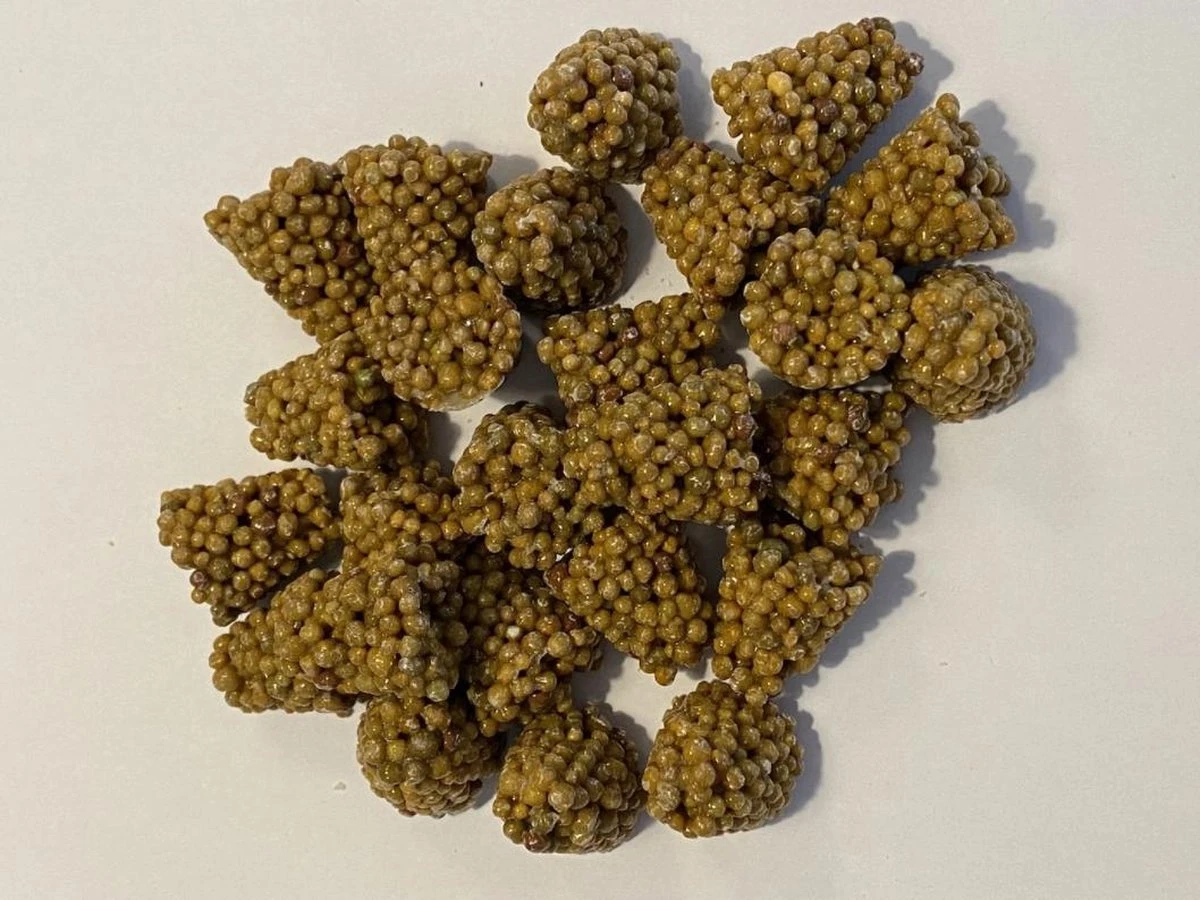 Ferrarium Planten Voedingstabletten (35 Stuks) - Plantenvoeding - Kamerplanten Voeding - Ecosysteem Voeding - Balkon Planten Voeding - Easytabs - Kamerplanten Voedingskegels