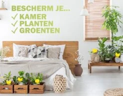 Merkloos Rouwvliegjes Bestrijden - Rouwvliegjes Plakstrips - Fruitvliegjes Vanger - Vangplaten Tegen Fruitvliegjes En Rouwvliegjes - 36 Stuks