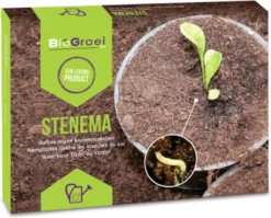 Stenema 100m² | Aaltjes Tegen Rouwvliegjes | Tegen Larven Van Rouwvliegen | Rouwvliegjes Bestrijden | Varenrouwmuggen | In Planten | 100% Natuurlijke Biologische Bestrijding