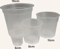 Sybotanica Aroid / Orchidee Plantenpot - 8cm - Doorzichtig - 5x