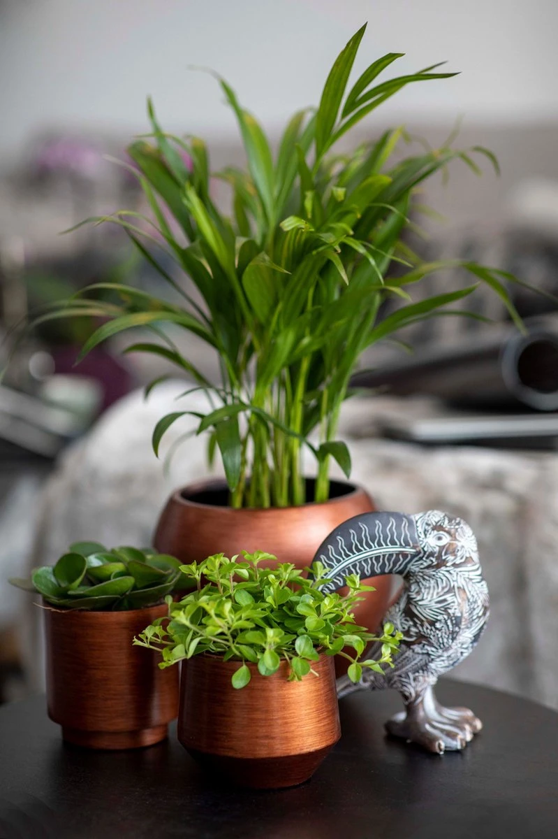 Capi Europe - Bloempot Bol Retro - 23x21 - Koper - Bloempot Voor Binnen - BRTC134 - Afbeelding 2