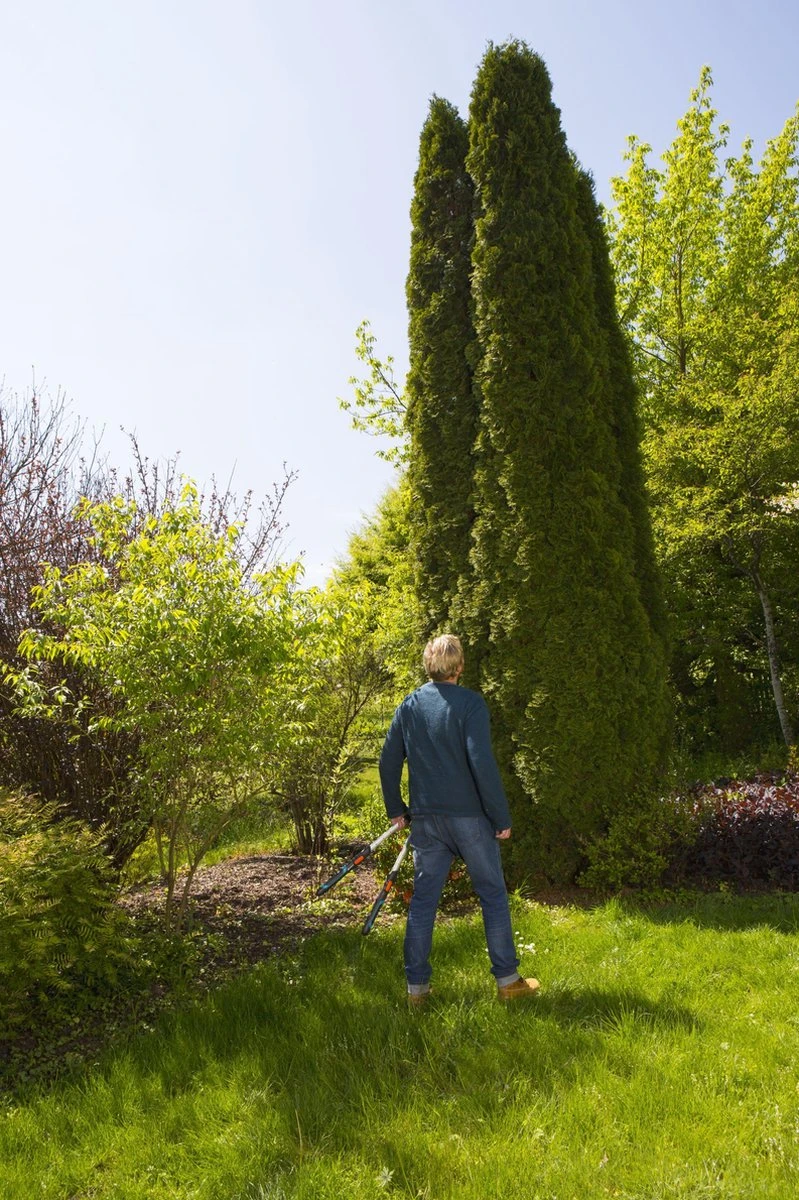 GARDENA TeleCut Heggenschaar - Telescopische Handgrepen Van 70-90 Cm - Afbeelding 7