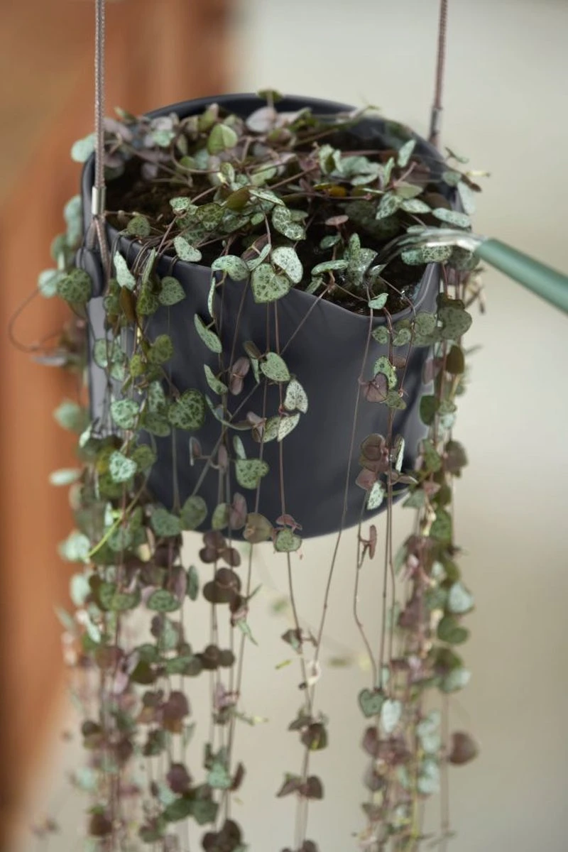 Elho B.for Swing 18 Hangpot - Bloempot Voor Binnen - Ø 18.0 X H 16.5 Cm - Zwart/Antraciet - Afbeelding 7