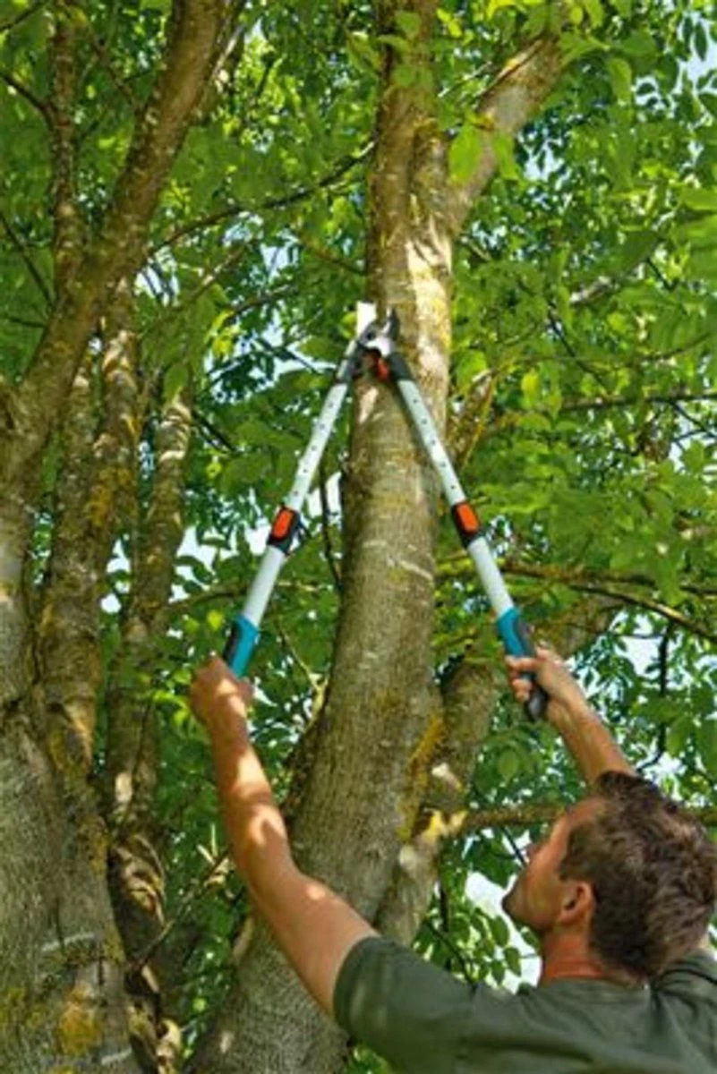 Gardena TeleCut Takkenschaar 650-900 B - Uitschuifbare Armen - Tot Max 90 Cm - Afbeelding 11